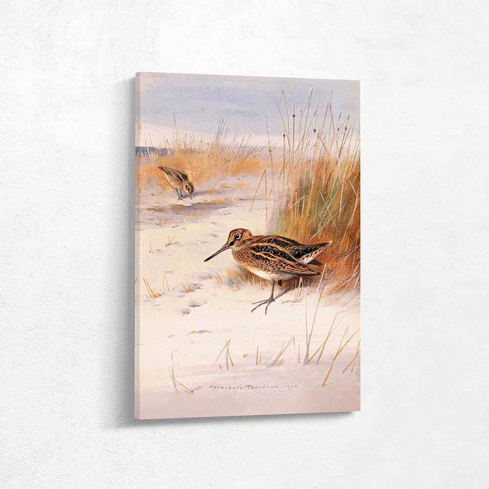 Two Snipe