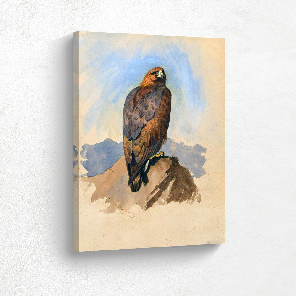 Golden Eagle Studies