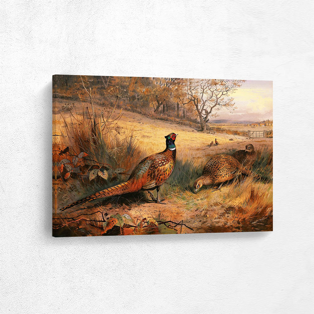 Cock Pheasant with Two Hen Pheasants in Autumnal Landscape