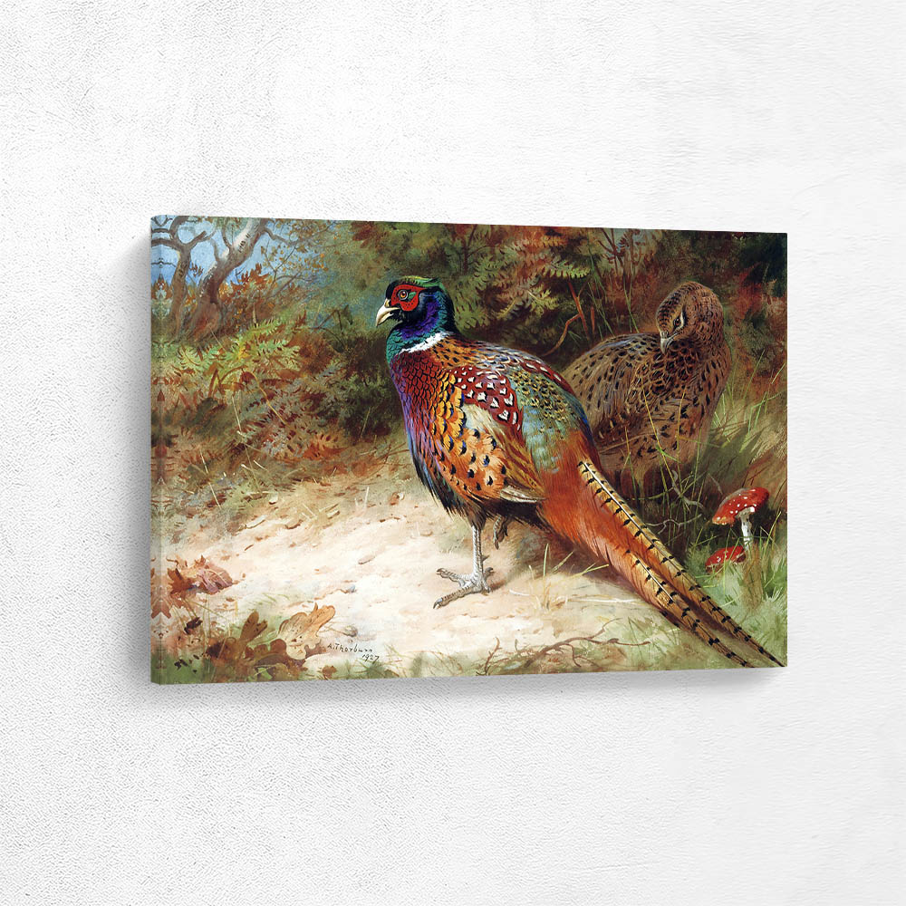 Pheasants in the Woods