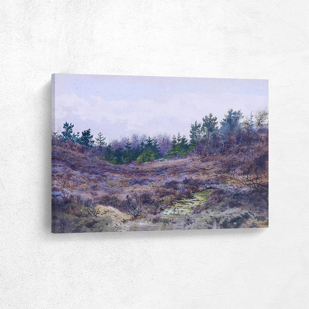 A Clearing in a Pine Plantation