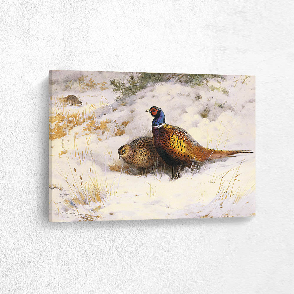 Cock and Hen Pheasant in the Snow