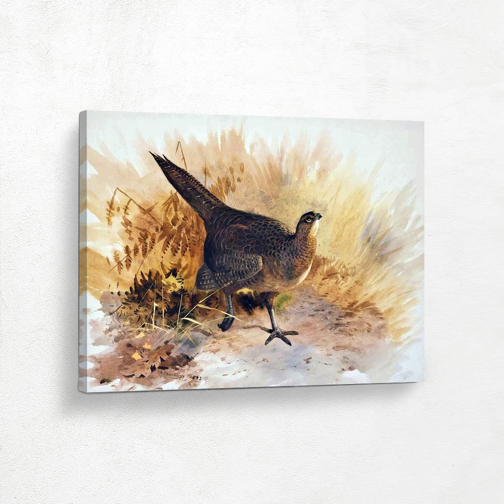 A Hen Pheasant