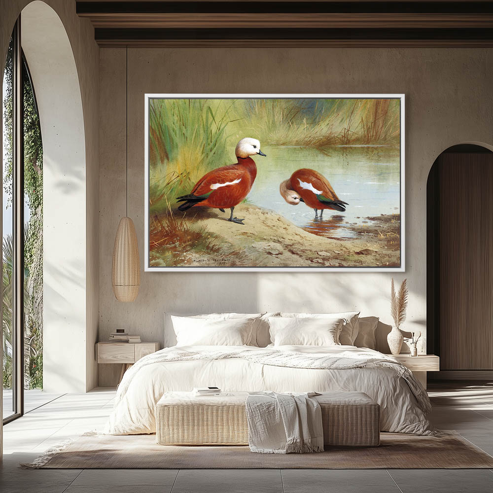 A Pair of Ruddy Shelduck on a Riverbank - Image 4