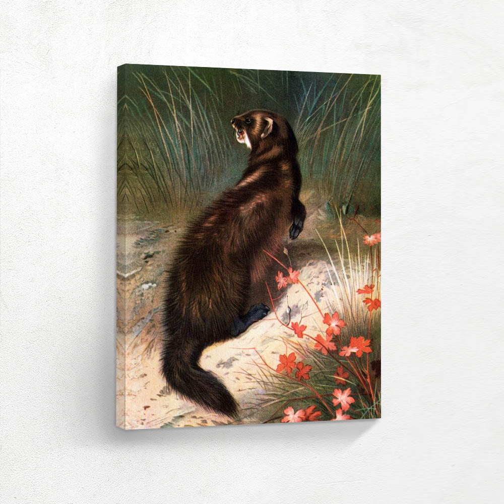 Polecat