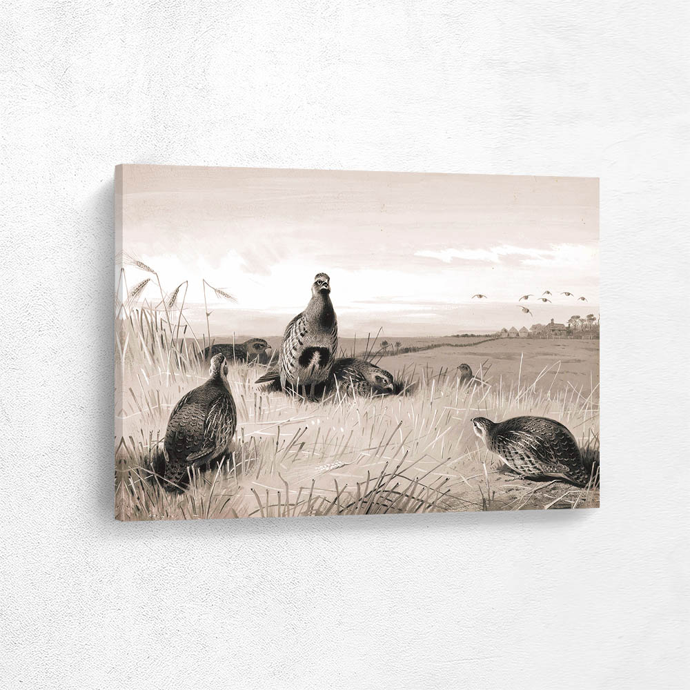 September Partridges