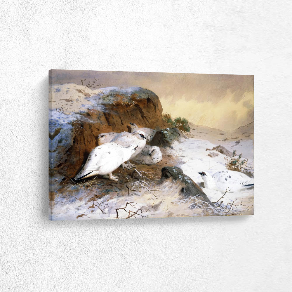 Ptarmigan in the Snow