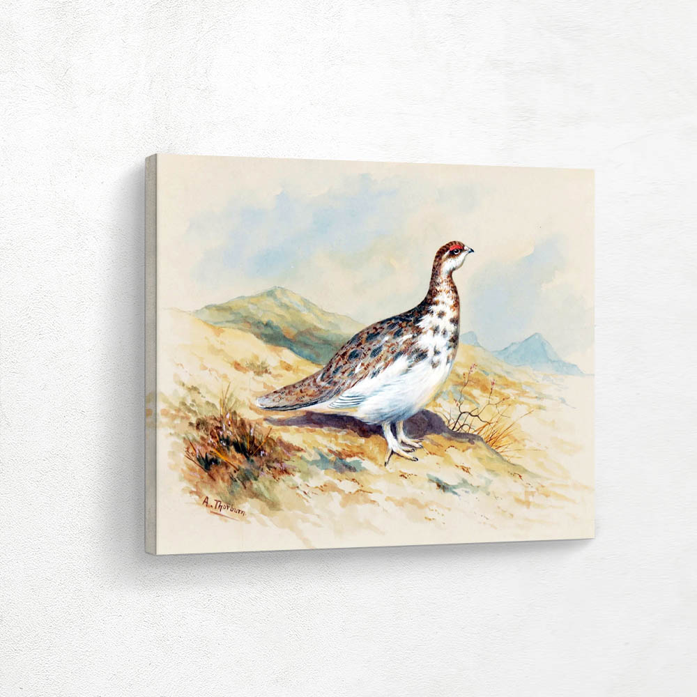 Ptarmigan
