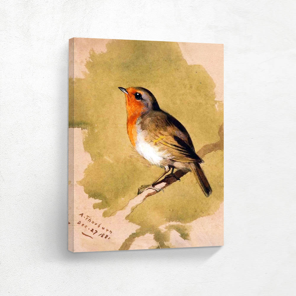 Robin on a Branch