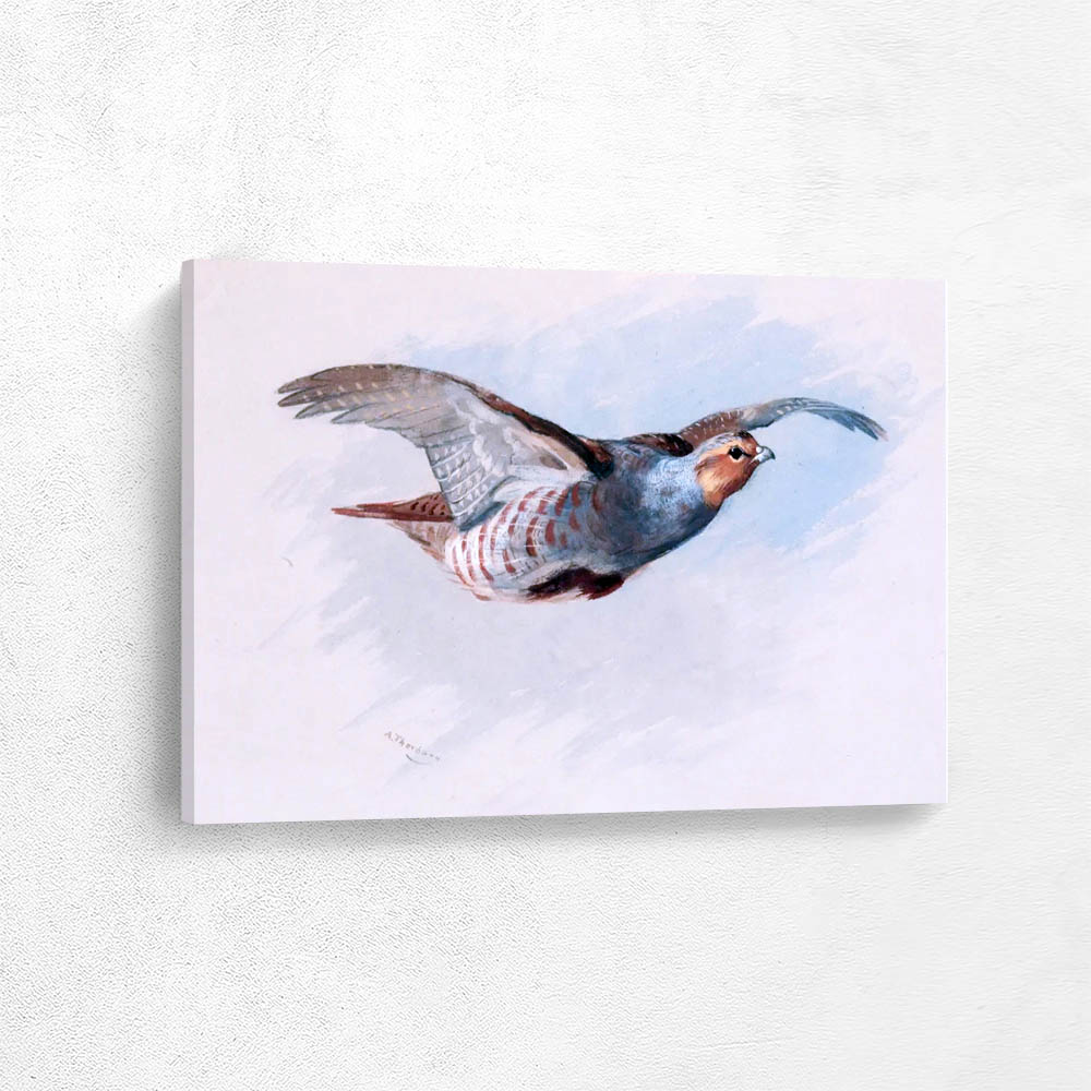 Partridge in Flight