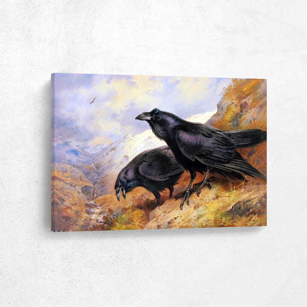 A Pair of Ravens
