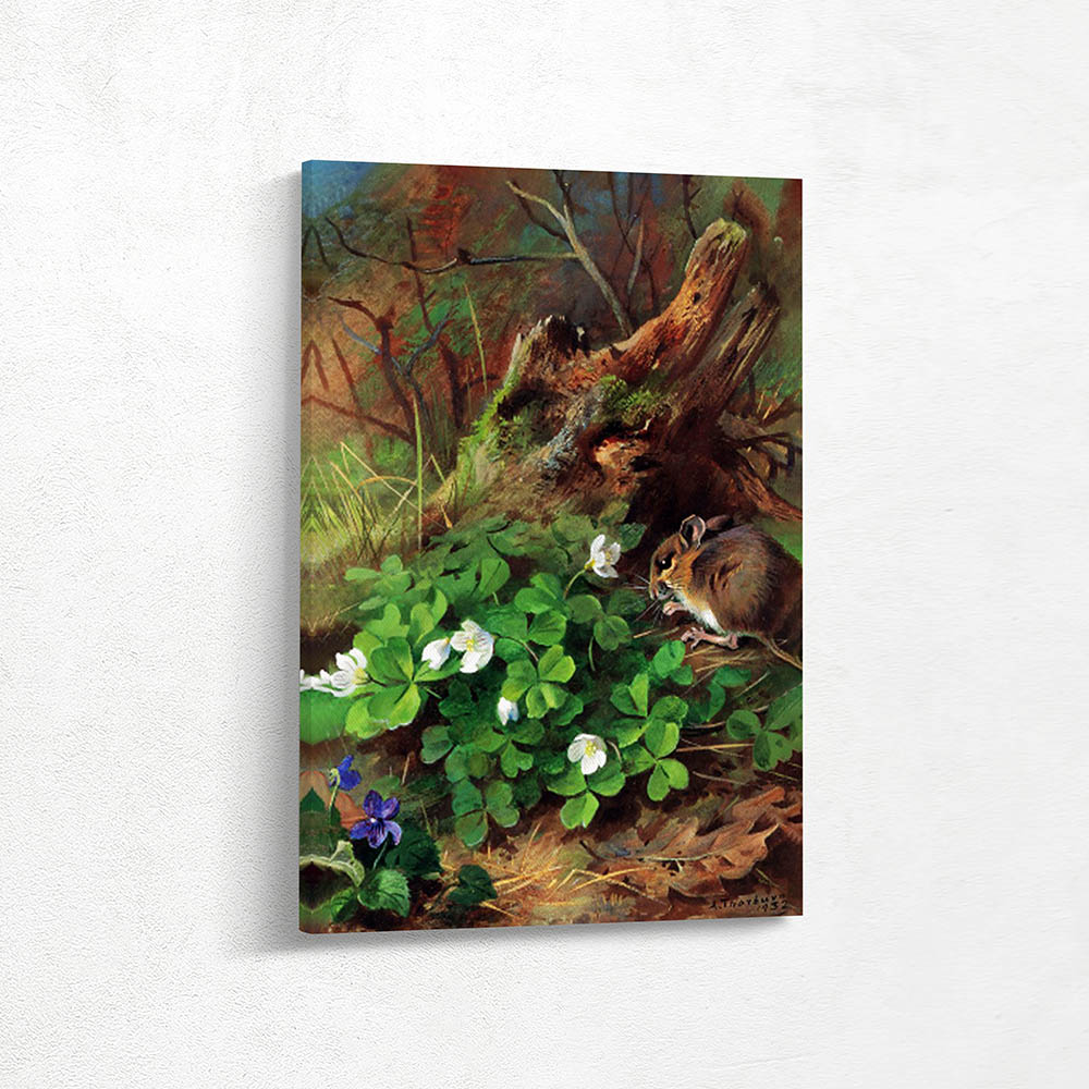 Wood Mouse and Wood Sorrel