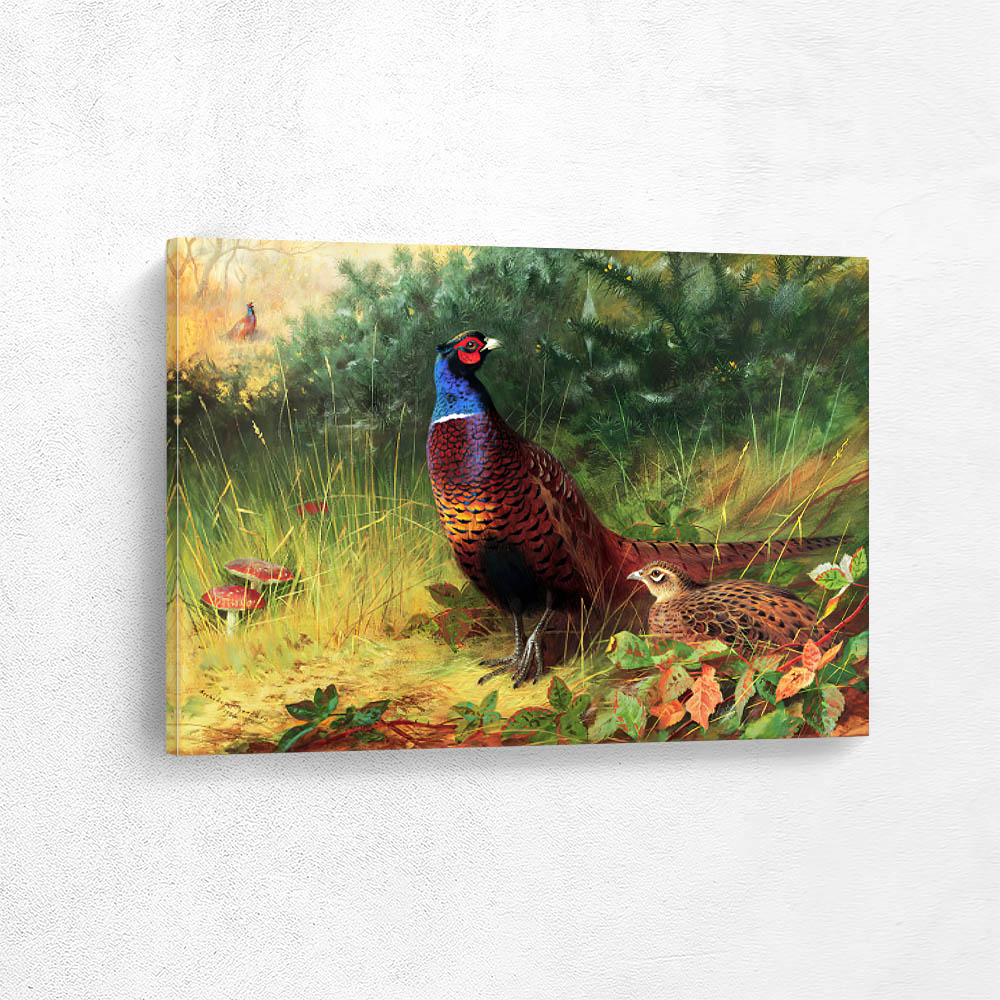 Pheasants