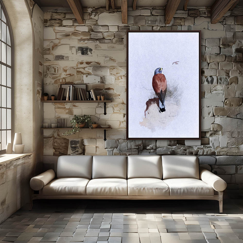 Lesser Kestrel - Image 3