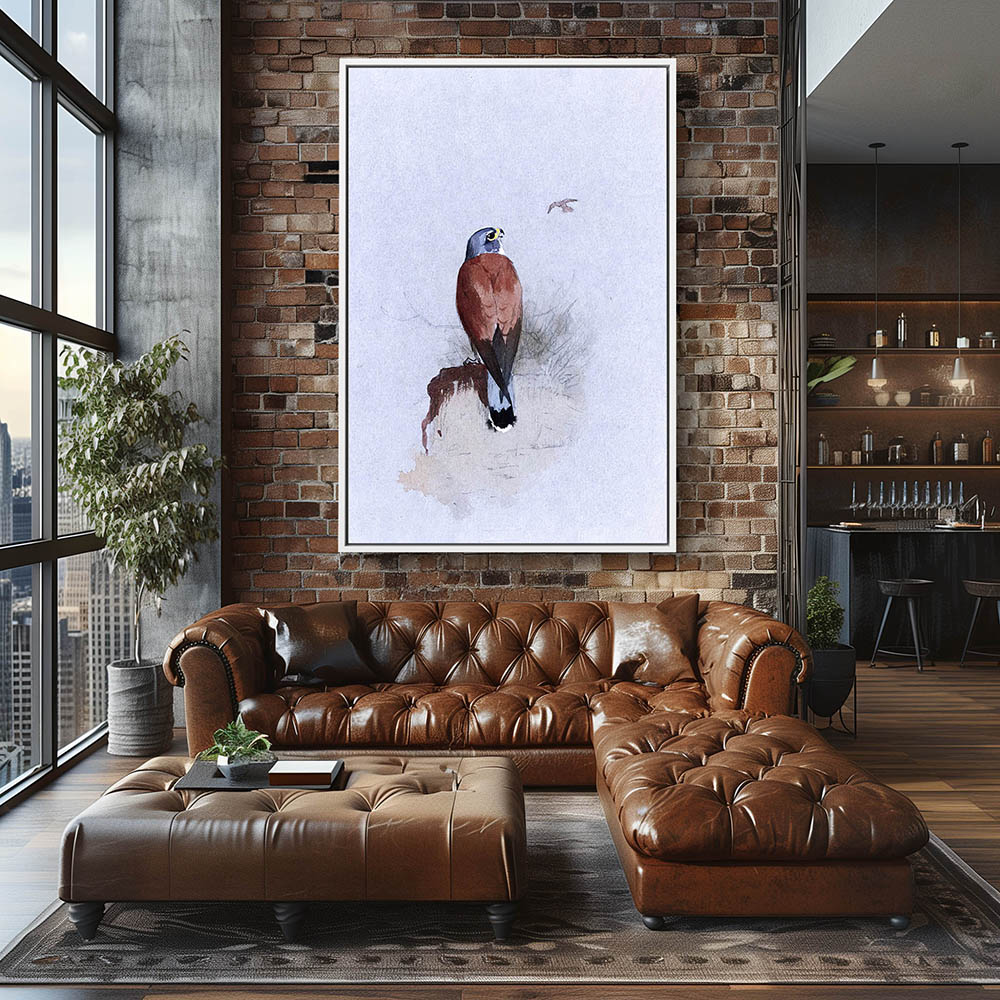 Lesser Kestrel - Image 4