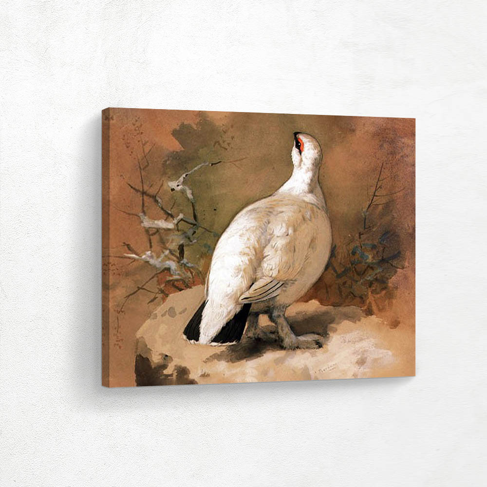 A Ptarmigan in Winter