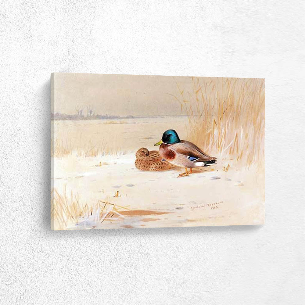 A Pair of Mallards on the Edge of a Lake