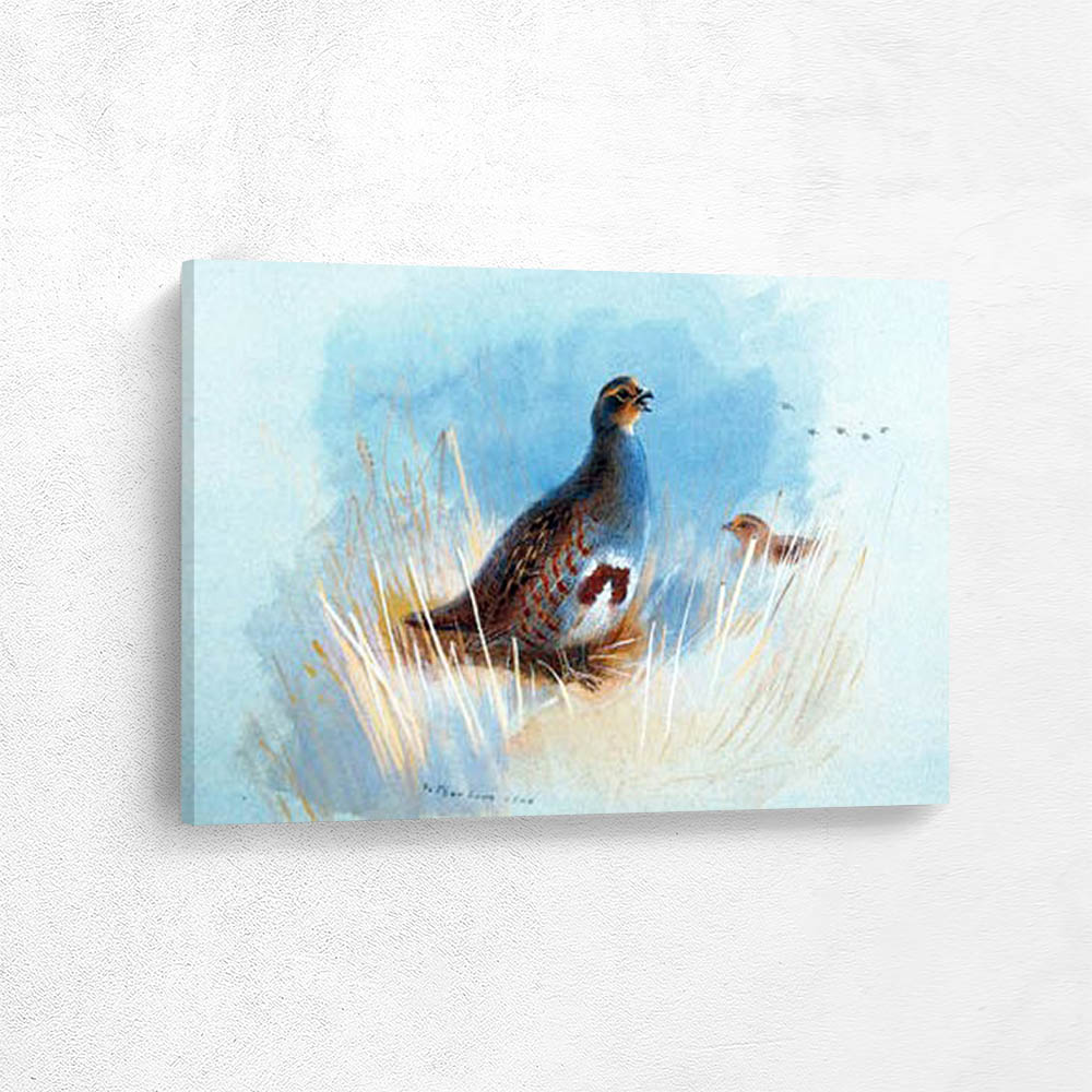 Partridges