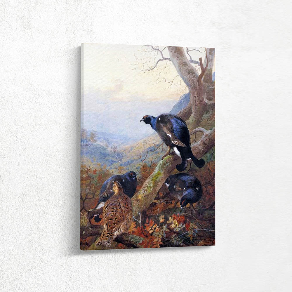 Blackcock and Grey Hen on a Rowan Tree