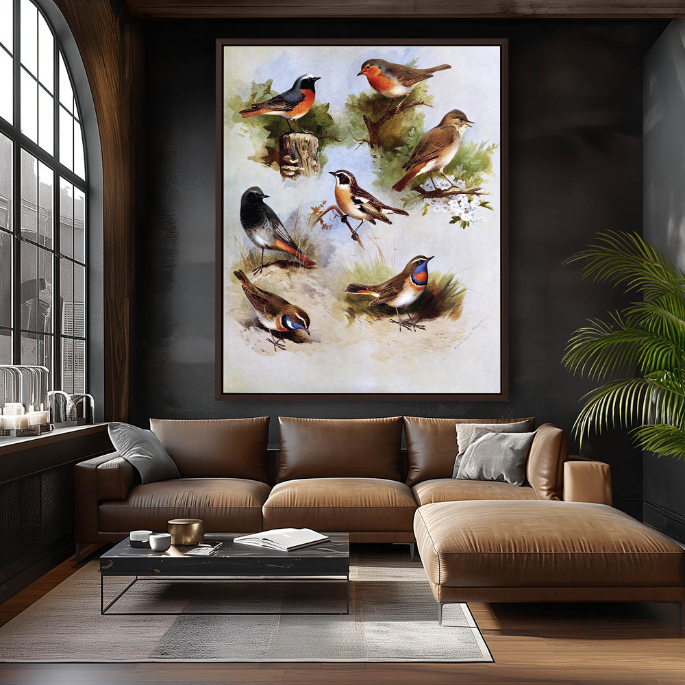 Various Birds in Various Settings - Image 3