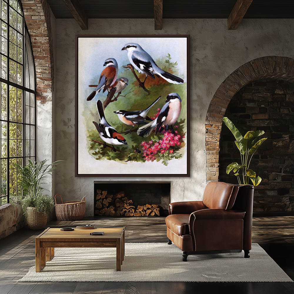 Various Birds - Image 3
