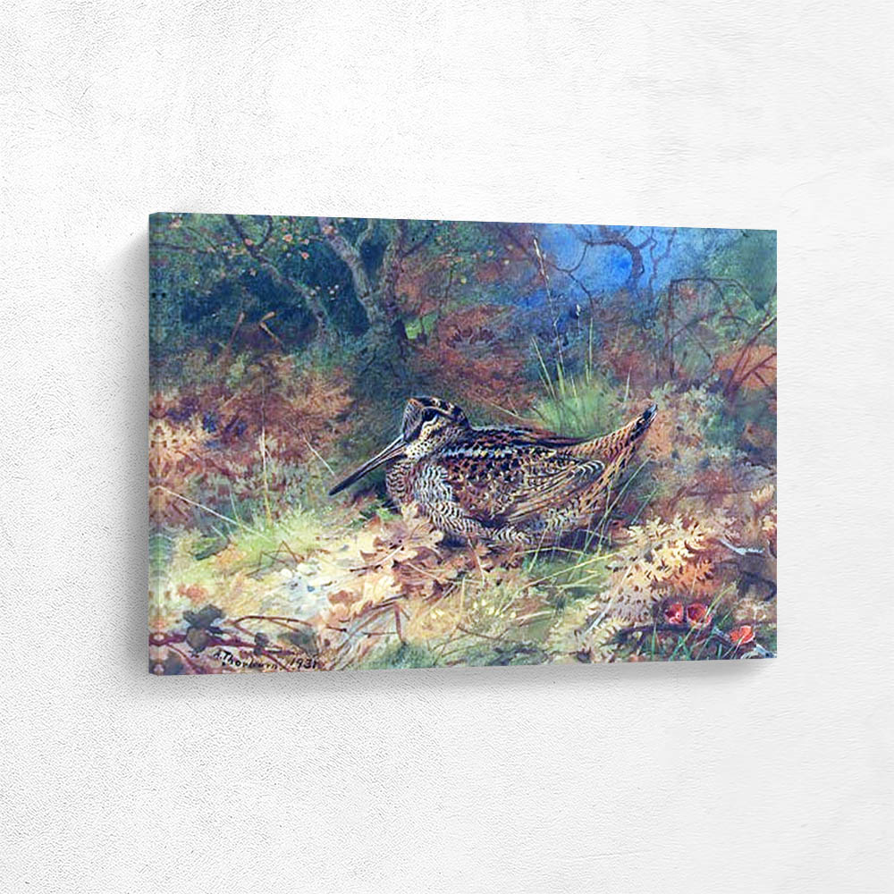 A Woodcock resting in Autumn Leaves