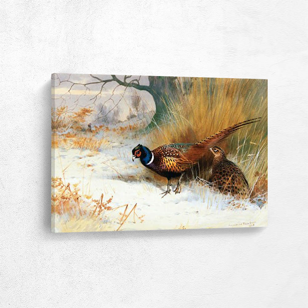 Pheasants in  Winter