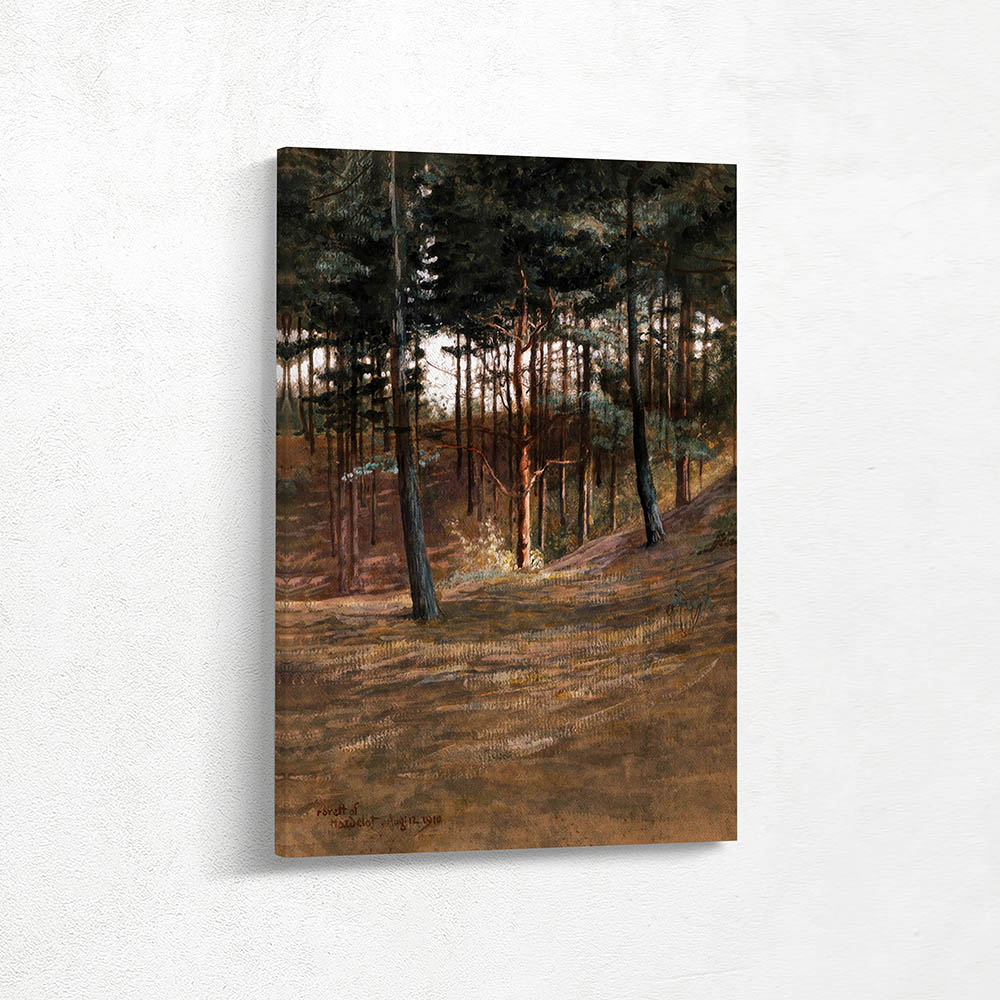 A Bit in Hardelot Forest