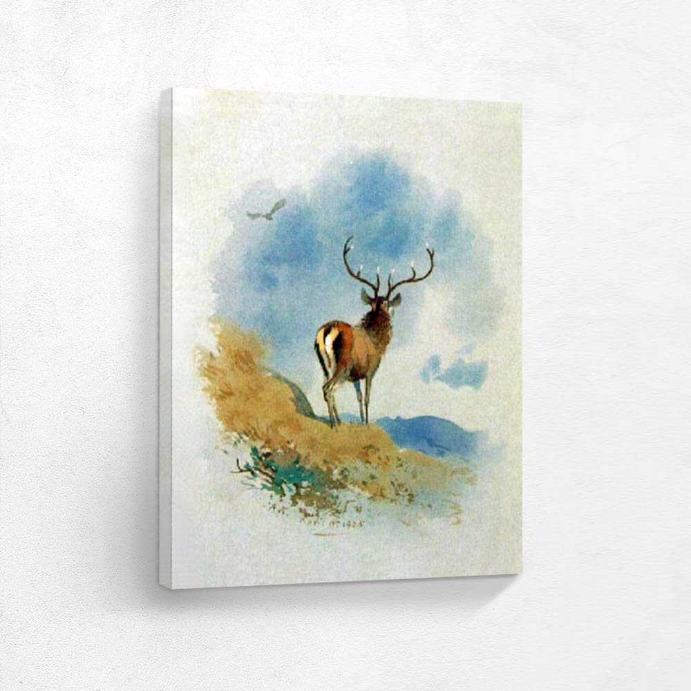 Red Stag Eating Grass