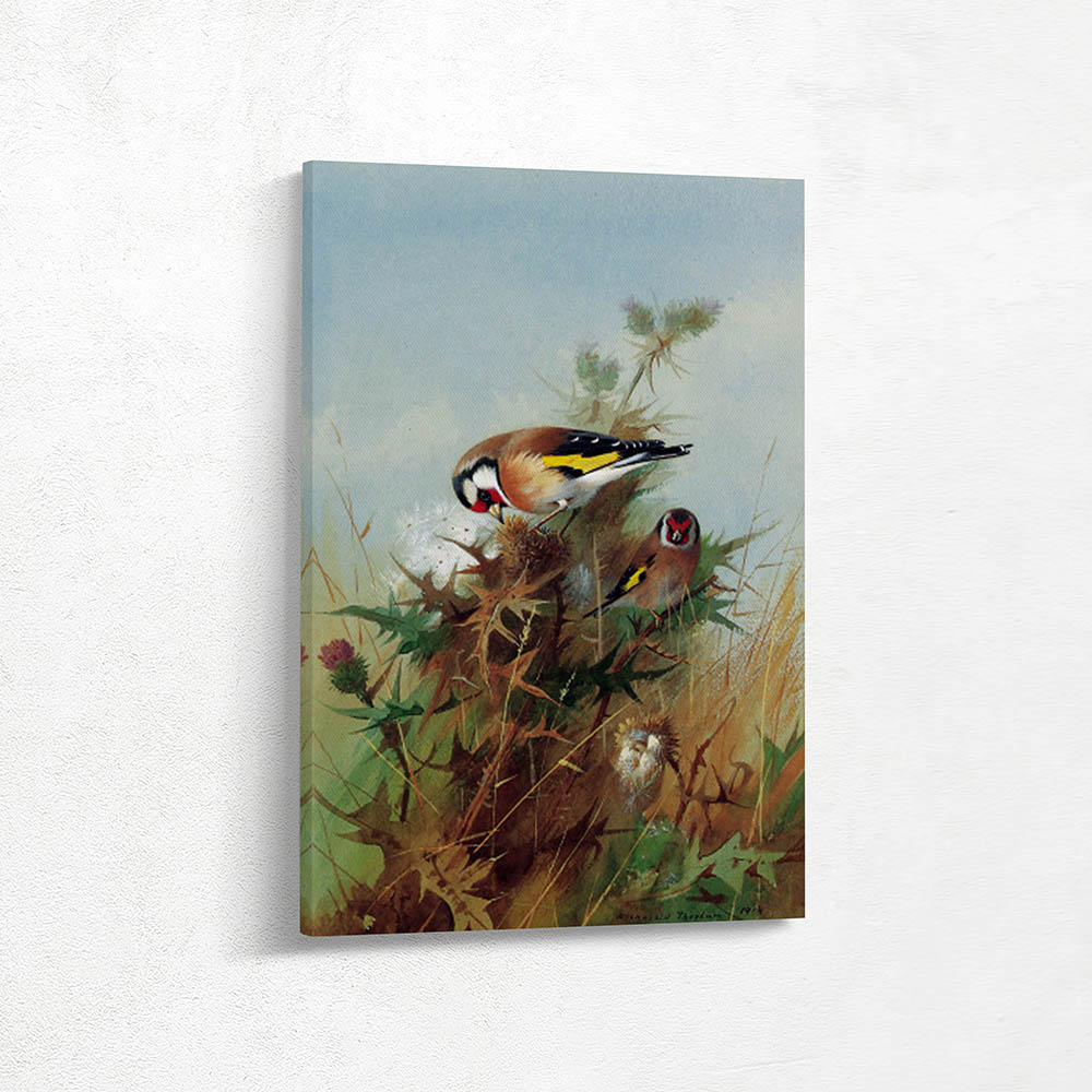 Goldfinches on Thistledown