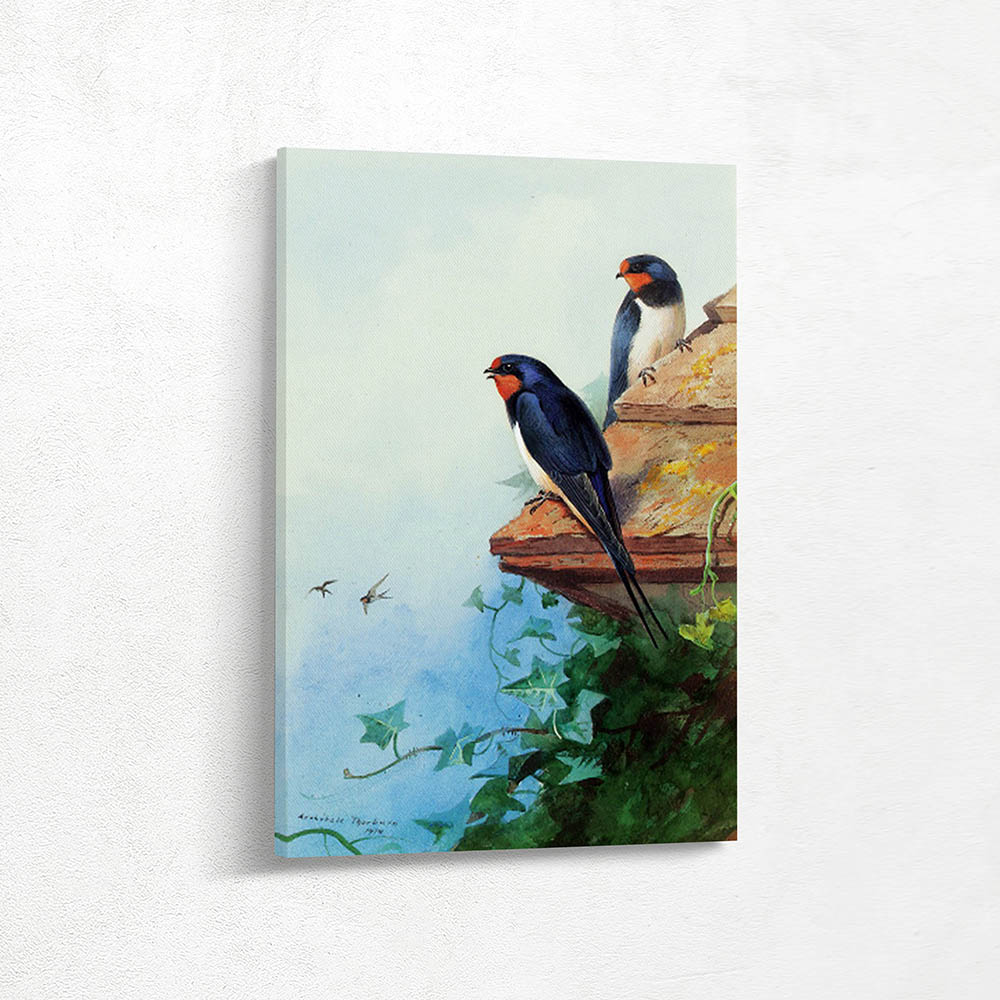 Swallows on an Ivy Covered Roof