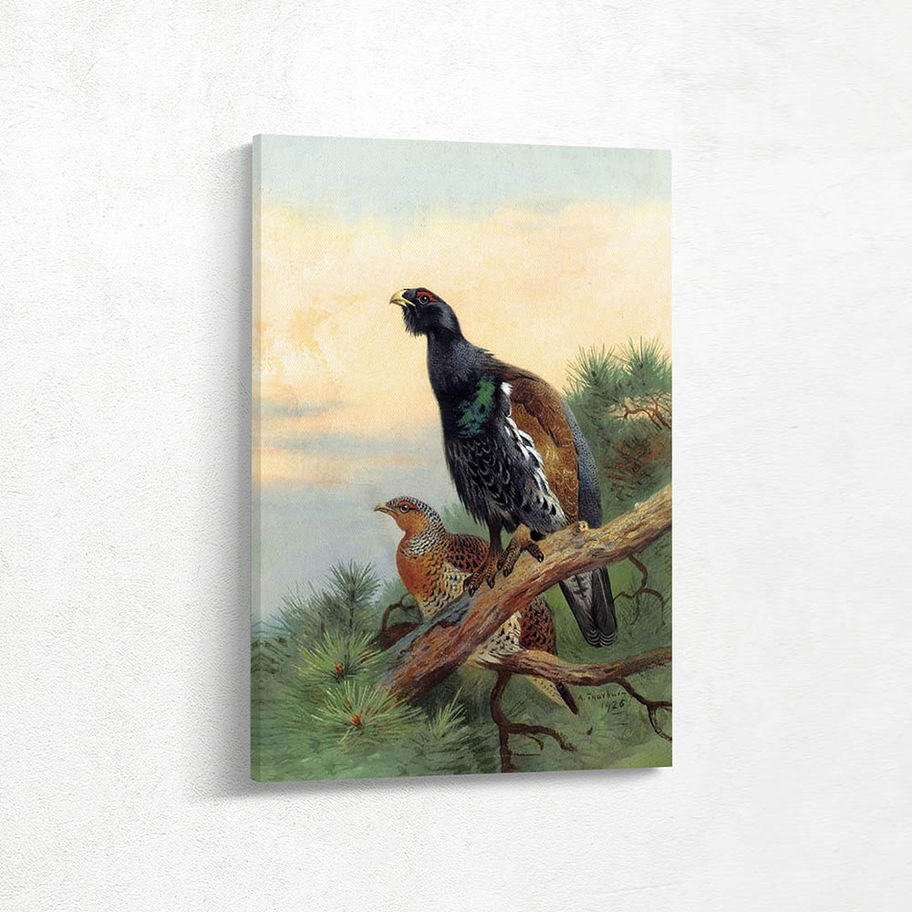 A Cock and Hen Blackgame A Cock and Hen Blackgame