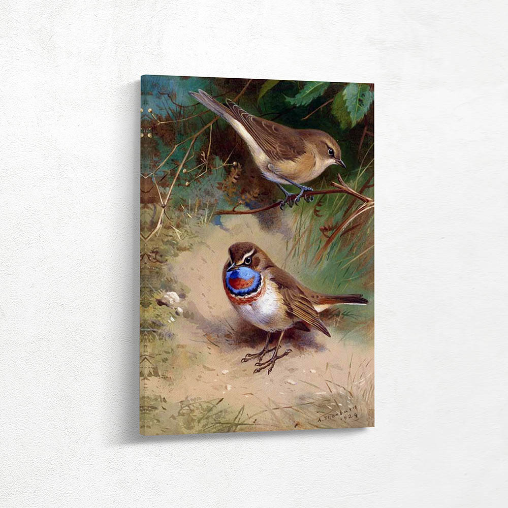 A Garden Warbler and an Arctic Bluethroat