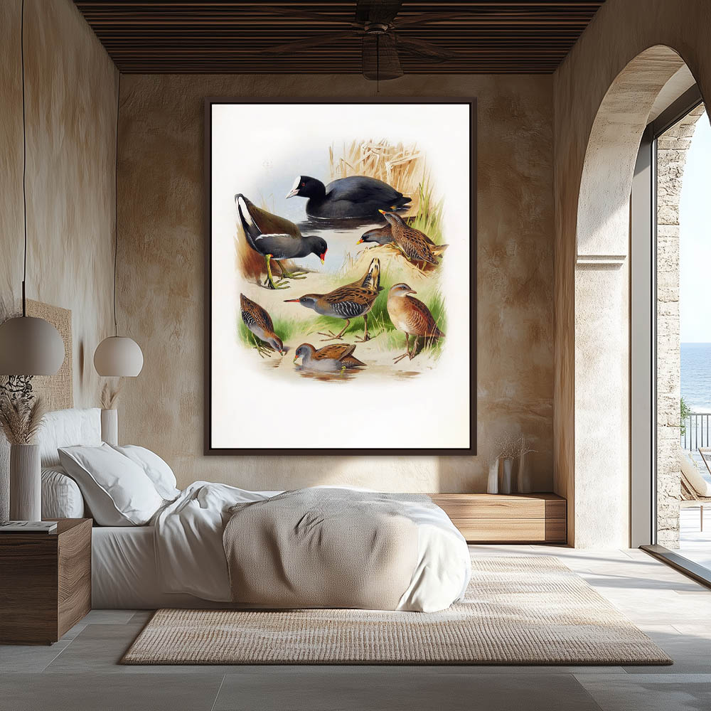 Various Birds in Different Settings - Image 3