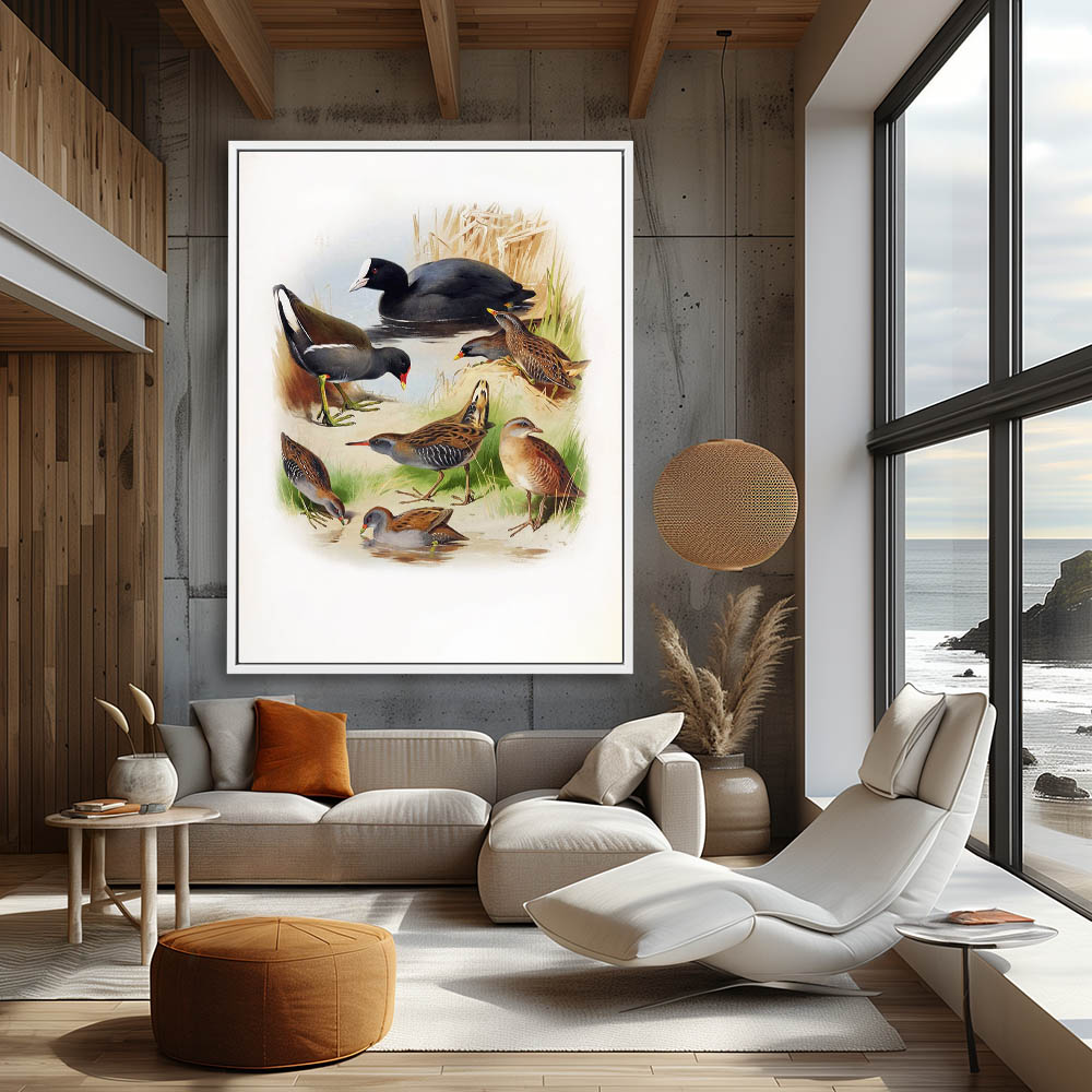 Various Birds in Different Settings - Image 4