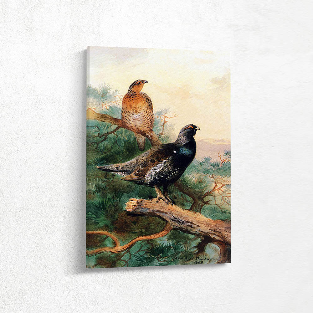 Cock and Hen Black Game