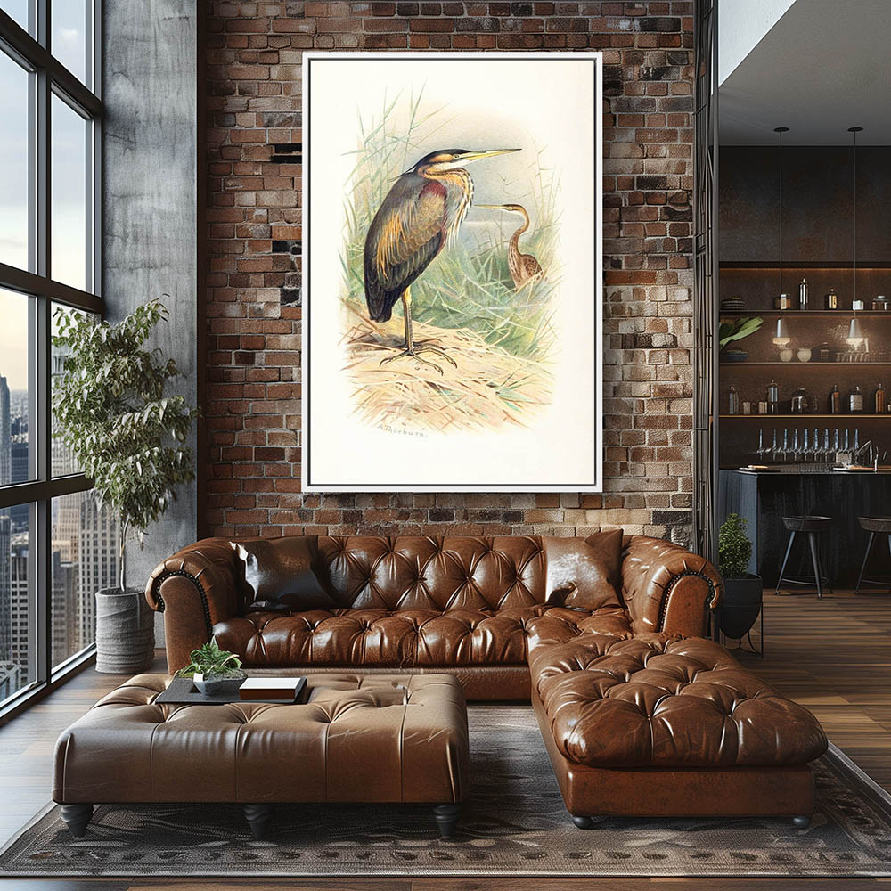 Purple Heron - Image 4