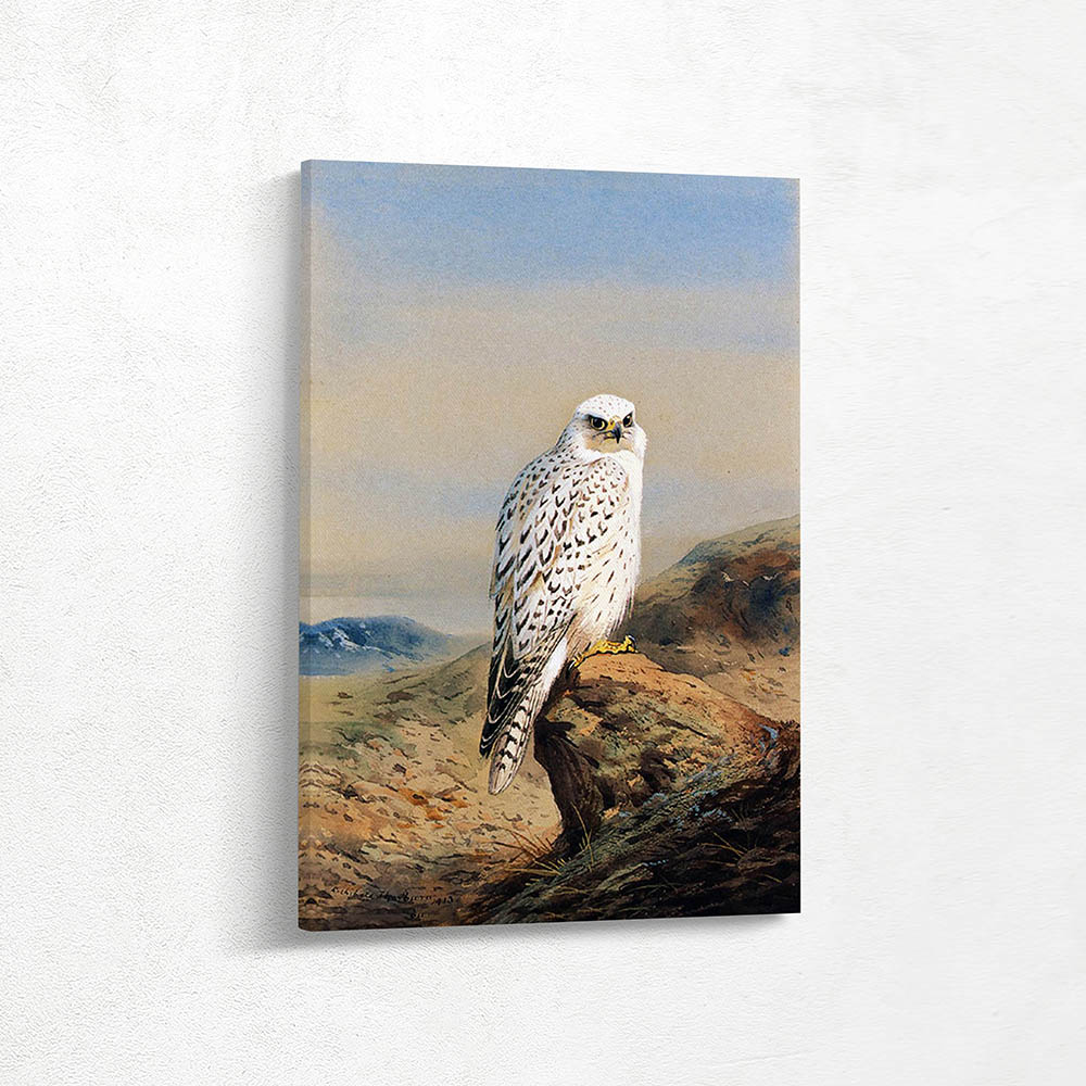 A Greenland Gyr Falcon in a Mountainous Landscape