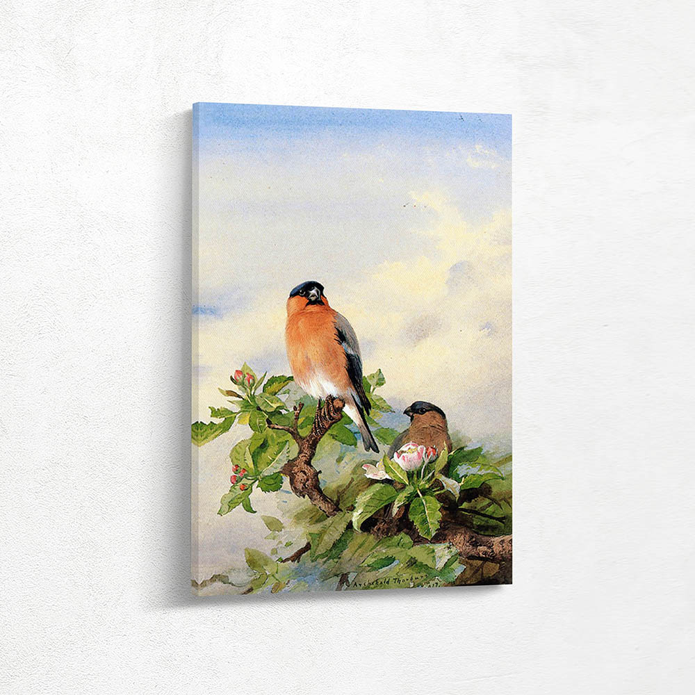 A Pair of Bullfinches in Cherry Blossom