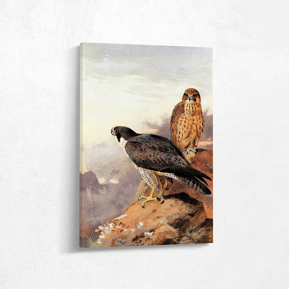 A Pair Of Peregrines