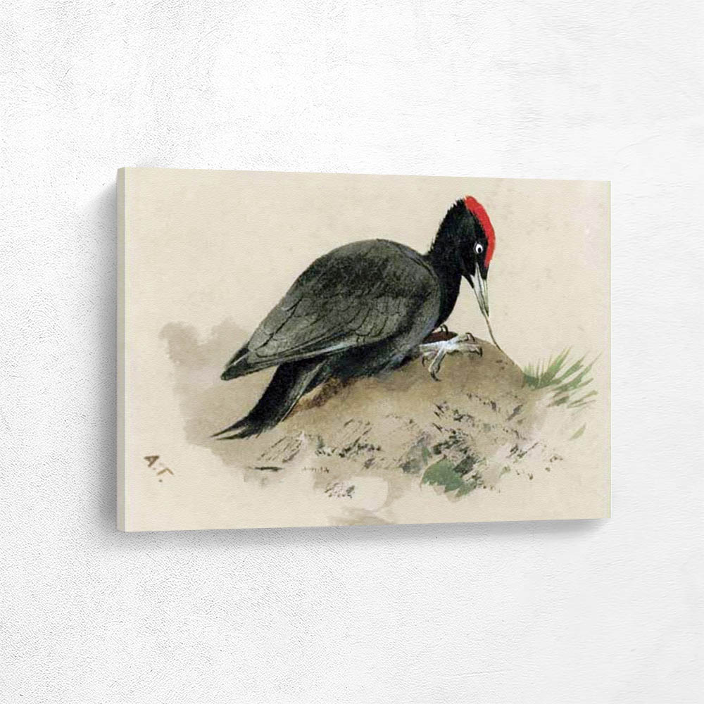 A Swedish Woodpecker