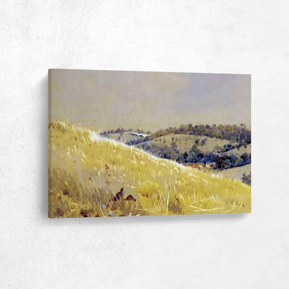 On the Edge of the Moor