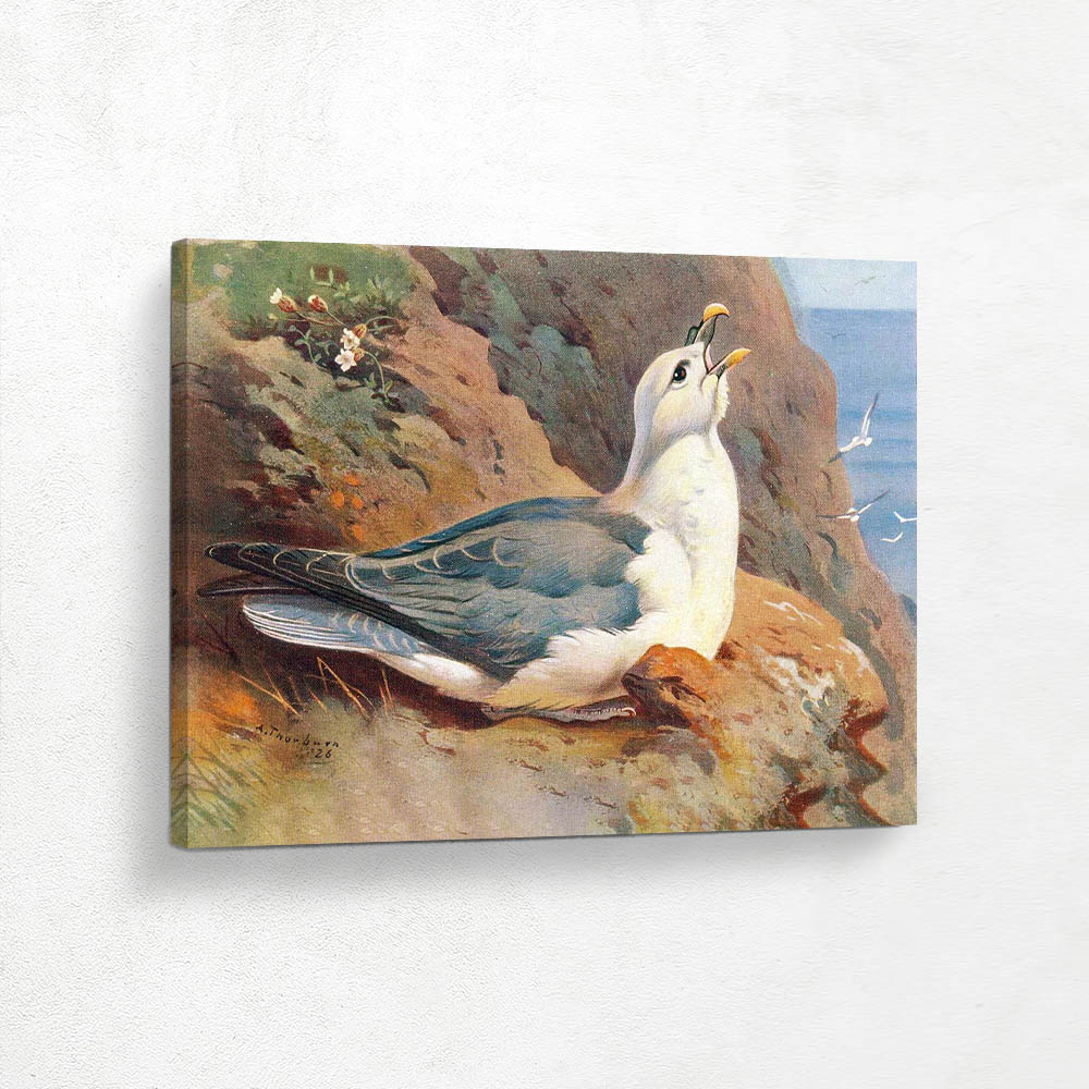 A Fulmar Petrel