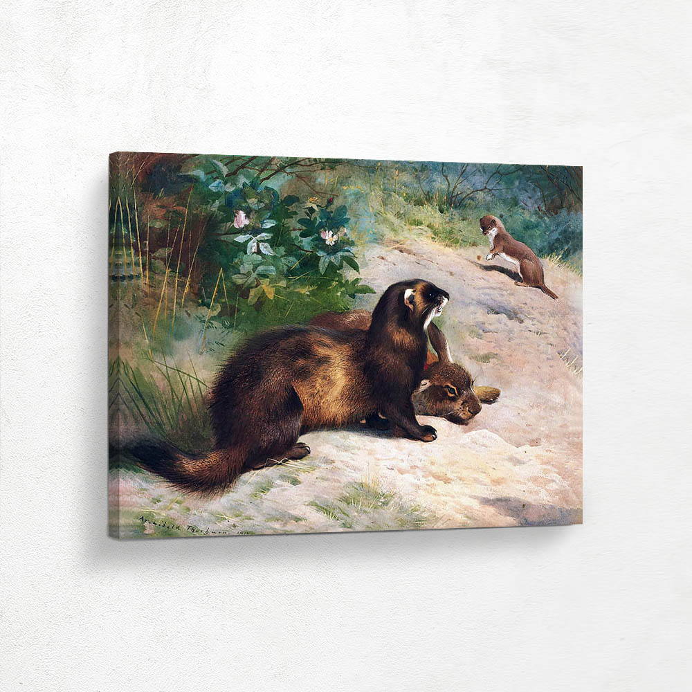 A Polecat and a Rabbit with a Stoat Watching