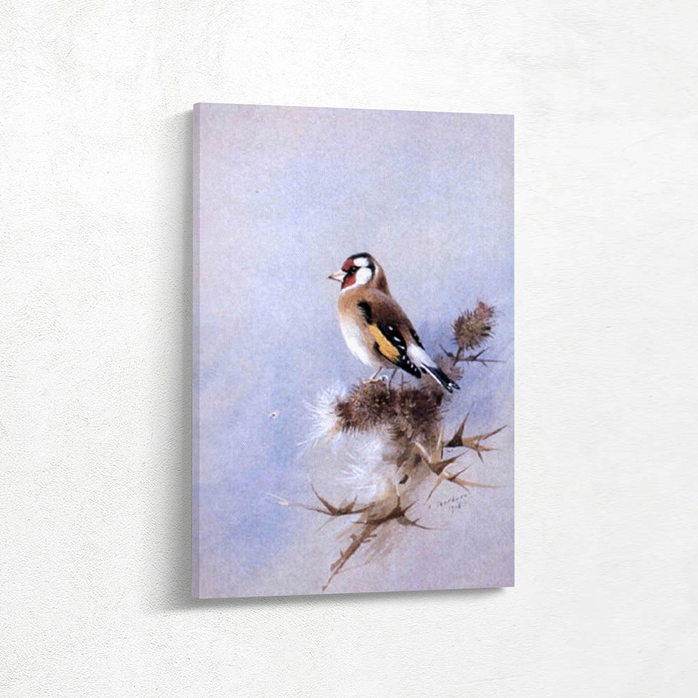 Goldfinch on Thistle