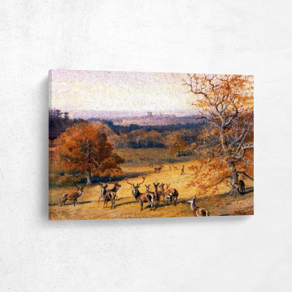 Red Deer in a Clearing