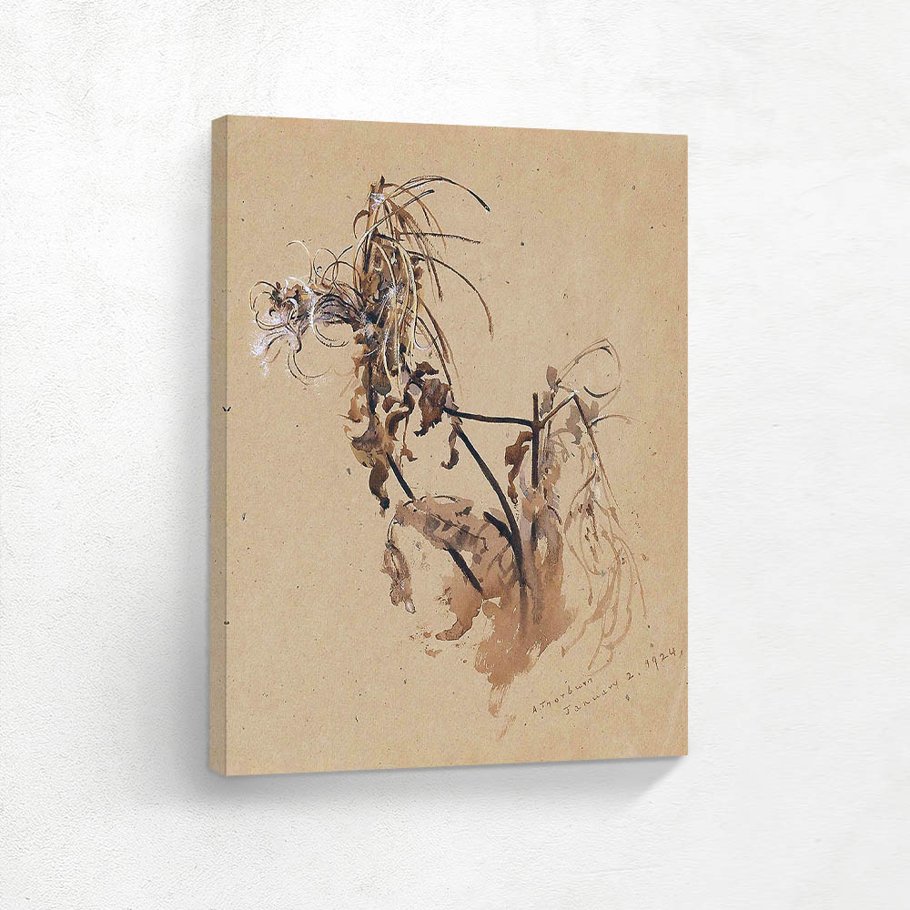 Study of a Dead Flower