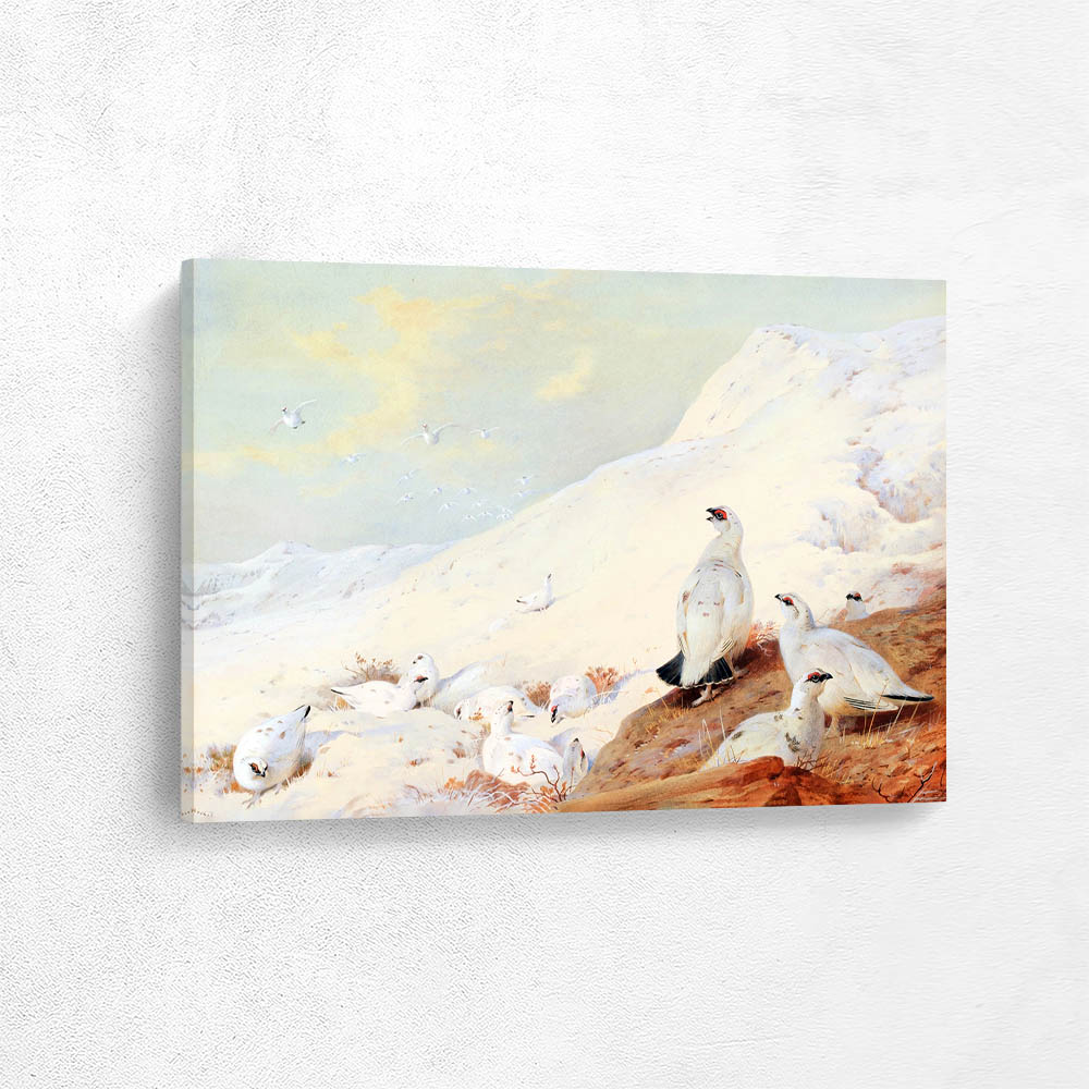 Ptarmigan in the Snow