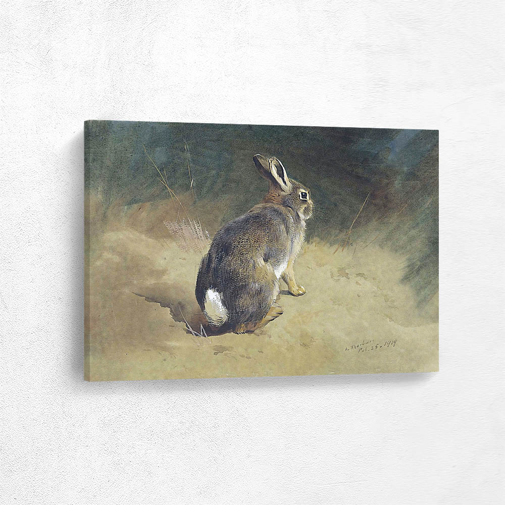 A Rabbit on a Bank