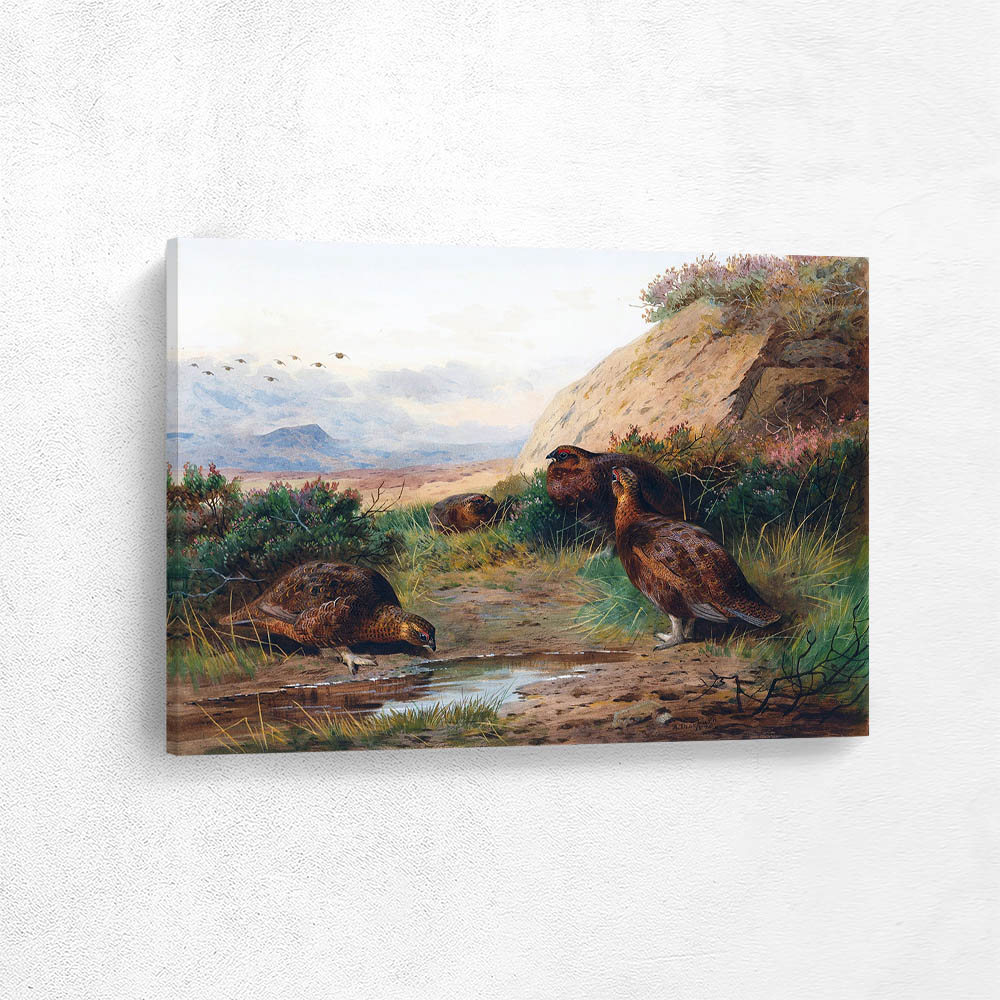 Grouse in a Landscape